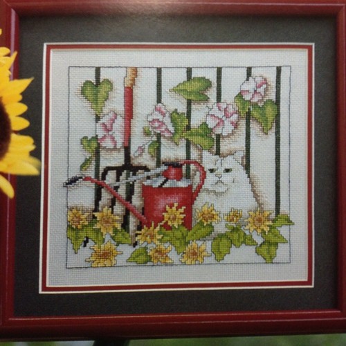 Morning glory cat - glory, counted