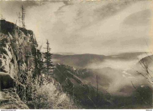 Carte postale la - postale, 25