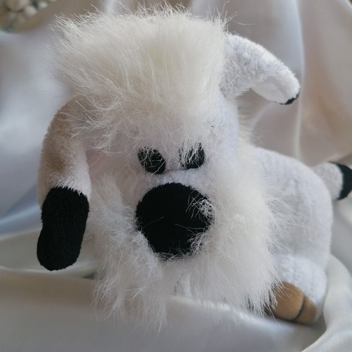 Doudou peluche chien - chien, blanc