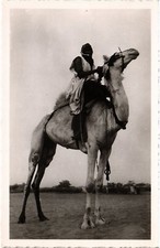 PC NIGER CHAMEAU DE SELLE