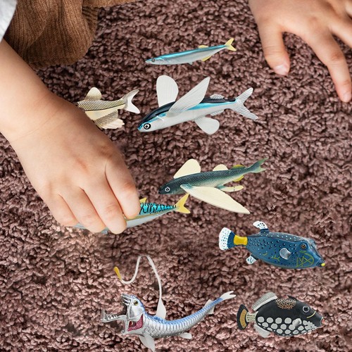 Modèles animaux marins - modèles,
