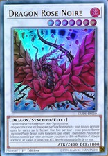 carte YU-GI-OH DUDE-FR010