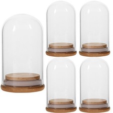  5 Pcs Vitrine En Verre Bombé