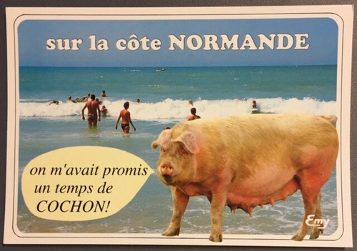 Carte postale humoristique - carte,