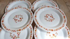 Assiettes plates Arcopal