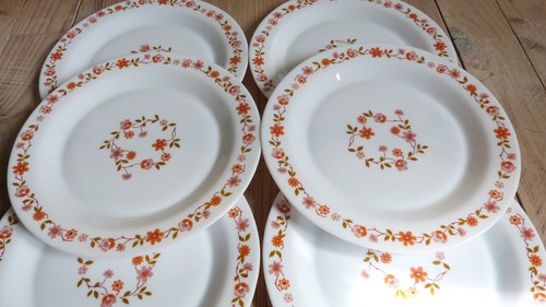 Assiettes plates arcopal - assiettes,