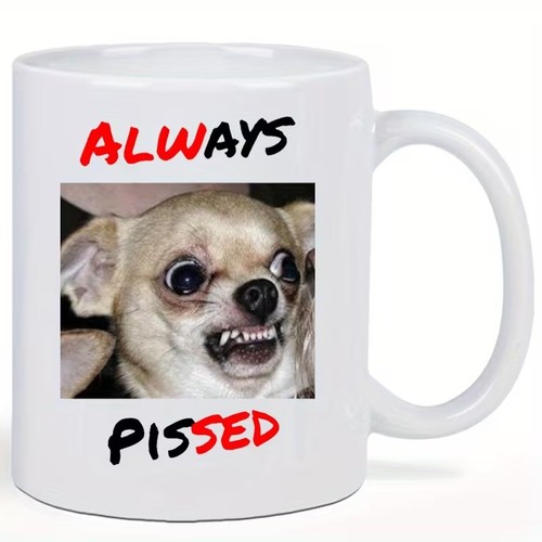 Always pissed angry chihuahua - always,