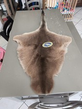 Peau De Kangourou Véritable