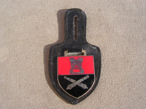 Insigne allemand de regiment - ,