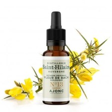 Fleur de Bach bio n°13 -