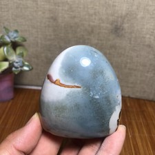 62mm Rare Natural Ocean Jasper