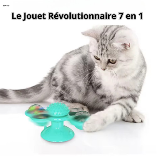Jouet chat 1 interactif - chat, en
