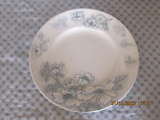 RARE GRANDE ASSIETTE OU PLAT