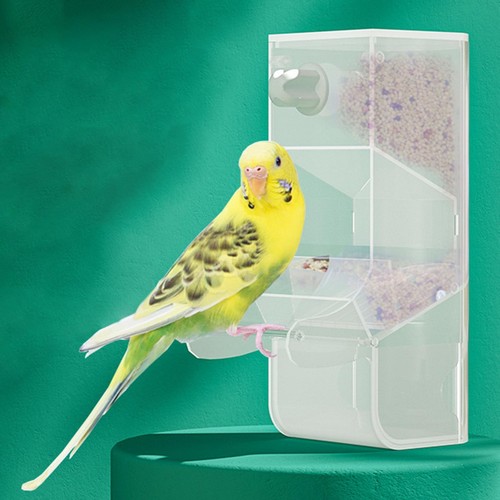 Mangeoire oiseaux - mangeoire,