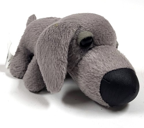 Collection art canin - la, d'art