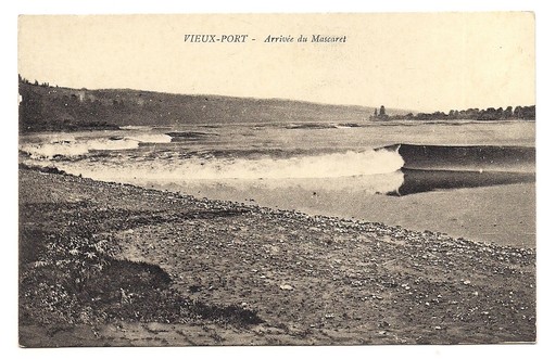 Vieux port arrivée du - arrivée,