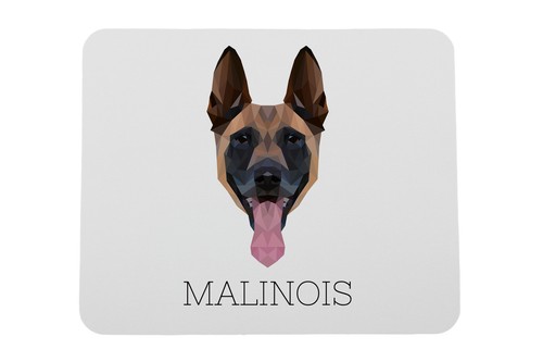 Malinois chien berger belge - chien, de