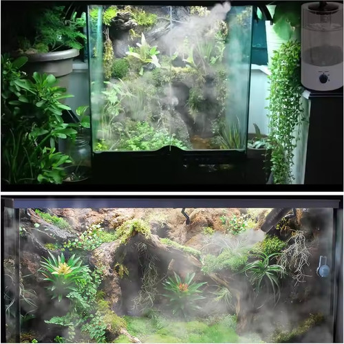 Humidificateur pour reptiles