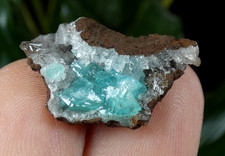 Cupro Adamite bleu turquoise dipyramidal Ojuela 2x1.5cm Mexique micro minéral