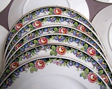 Lot de 12 Assiettes Plates