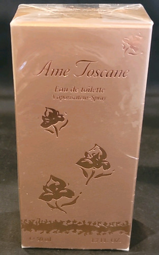 Isabel derroisne ame toscane - derroisne,