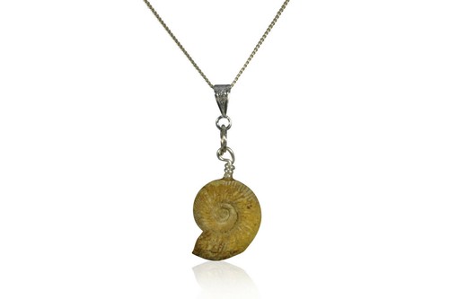 élégant pendentif ammonite - Élégant,
