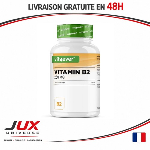 Vit4ever vitamine 250 - vit4ever, b2