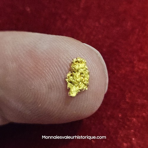 Pépite naturelle - d'or,
