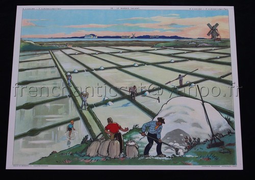 C335 affiche scolaire vintage - affiche,