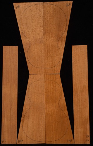African ribbon mahogany - african,