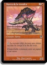 MTG Magic APC FOIL - Tundra