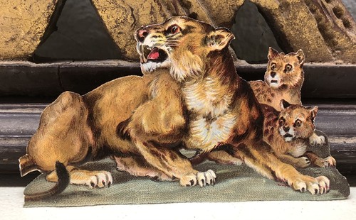Lion mother her - mother, cubs