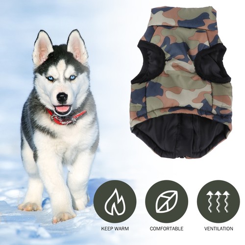Manteau chien petite taille - manteau,