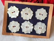 Rare petite plaque boutons anciens en nacre  1,7 cm  lot de 6 n°21