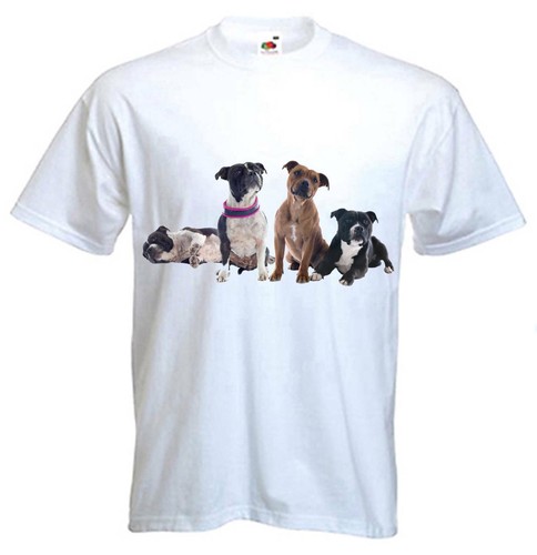 Shirt staffordshire bull - t-shirt,