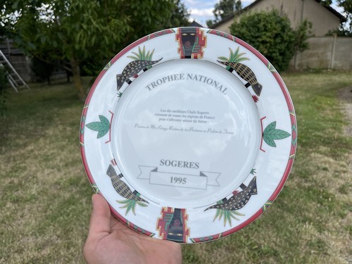 Assiette porcelaine pillivuyt - assiette,