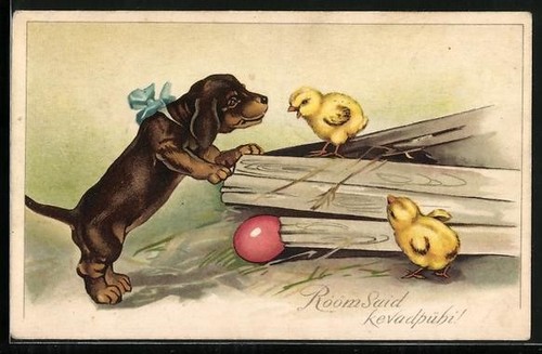 Teckel avec deux poussins