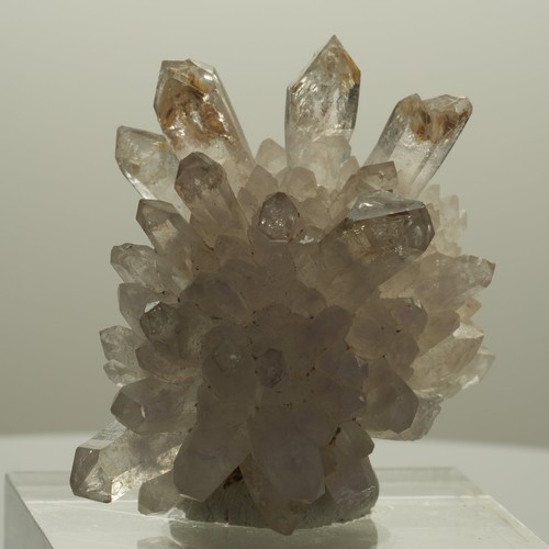 Sceptre fantôme squelette - , en