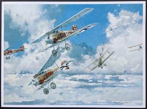 Ostwald boelcke ses - boelcke,