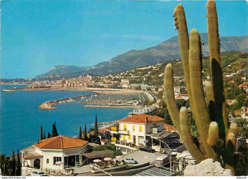 Carte postale fleurs - fleurs,