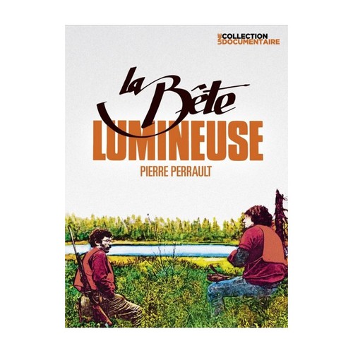 Bête lumineuse pierre - bête, (pierre