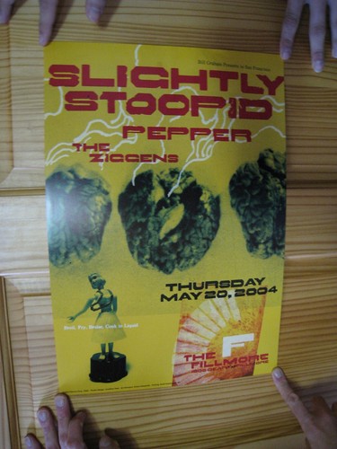 Affiche slightly stoopid - affiche,