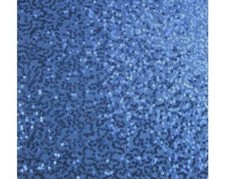 De Luxe Sequin Danse Wear