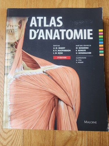 Atlas anatomy - atlas,