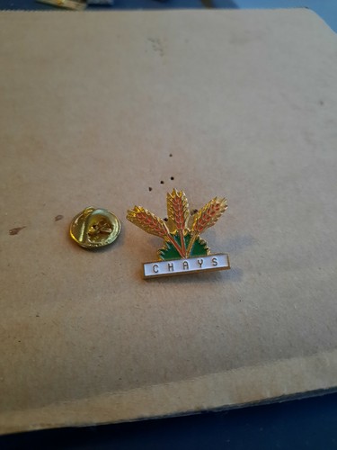 Pin chays épis - Épis, epi