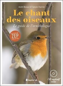 Chant des oiseaux le - oiseaux:,