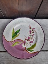 Assiette Emaux De Longwy Faience 