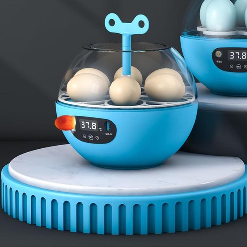 Incubateur oeufs 6 - incubateur, d'oeufs,