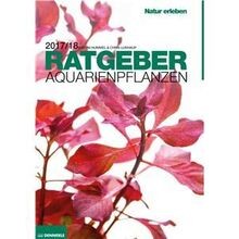 Dennerle aquarienpflanzen - dennerle,
