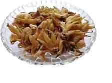 panja salam dactylorhiza hatagirea 100 orchidée pure hatajari salem misri